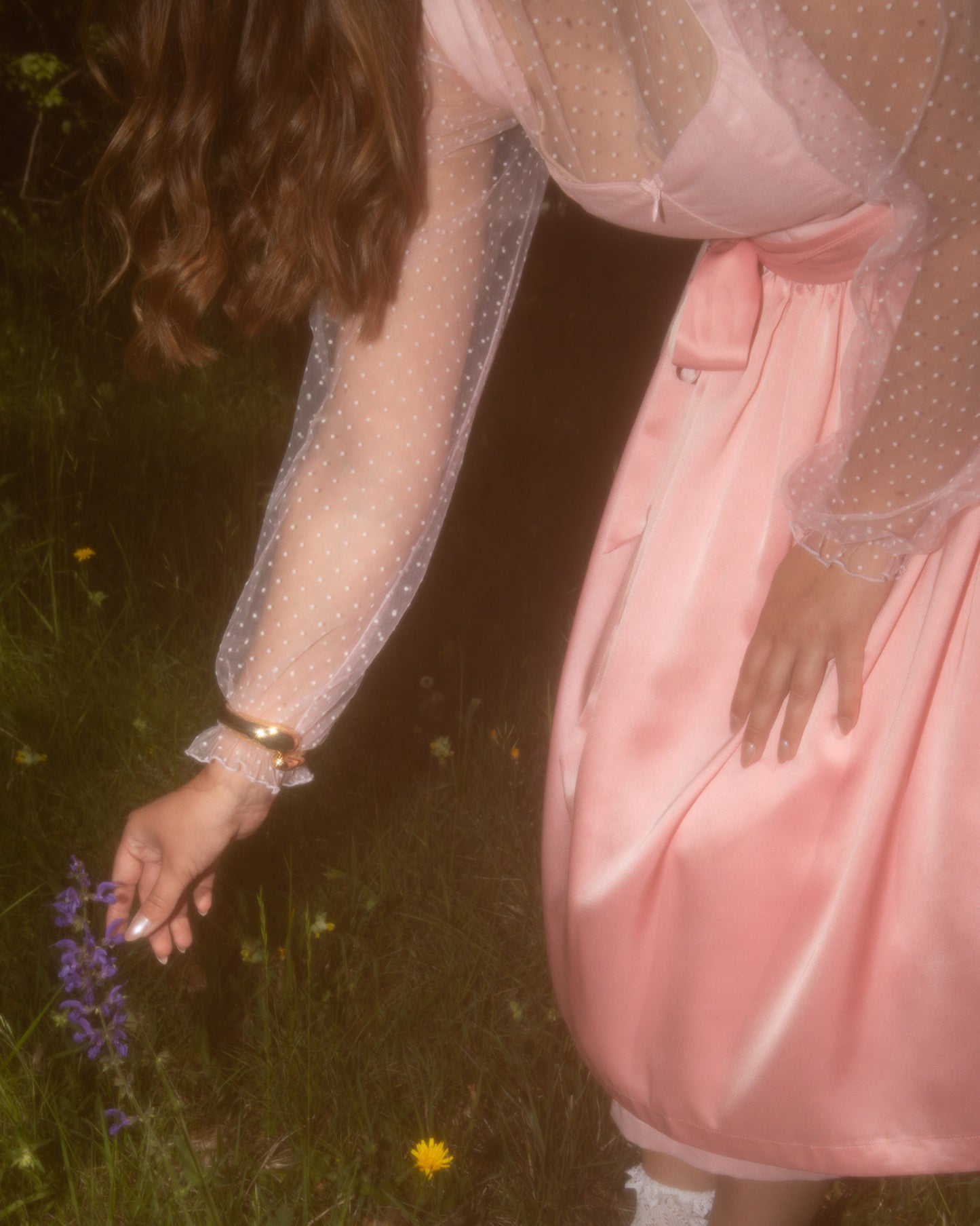 Dirndl Luise